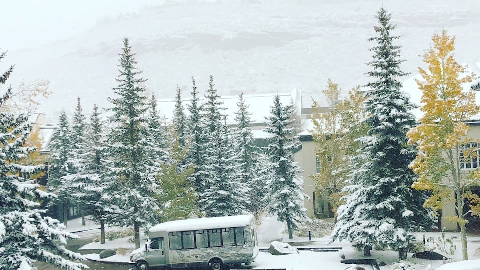 First snow of winter gorgeous morning