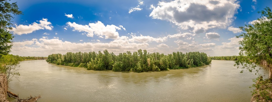 Un río con una pequeña isla de árboles rodeada de agua.