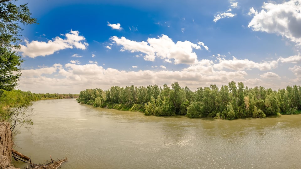 A river with a small island of trees surrounded by water.