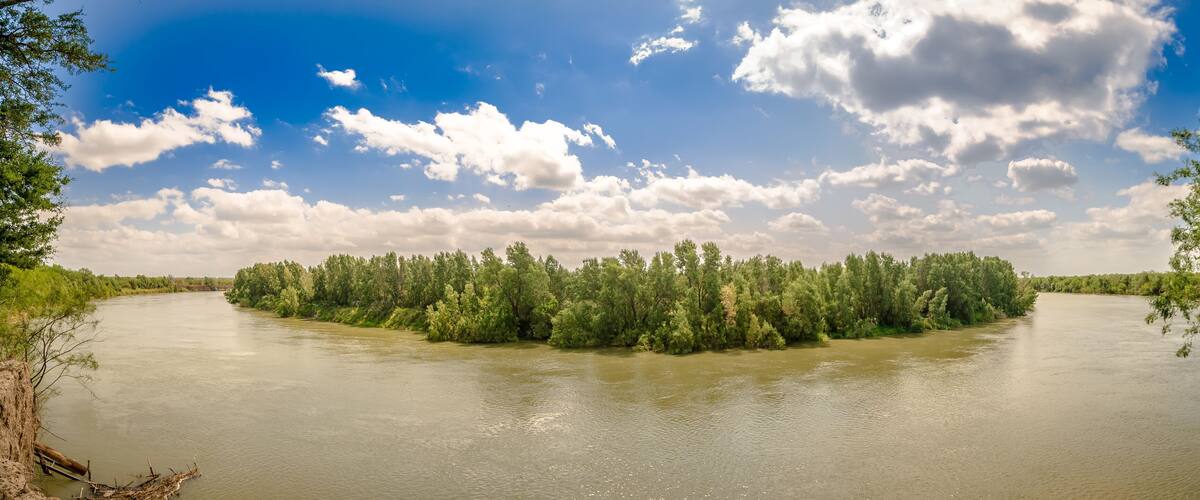 A river with a small island of trees surrounded by water.