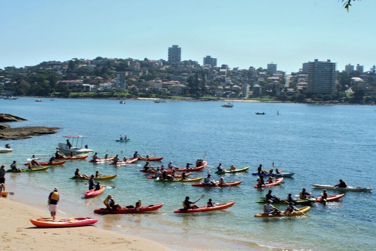 Manly to Spit bridge walk. You can take the ferry to Manly and the bus back from the brige. It's a fairly easy walk with nice scenery.