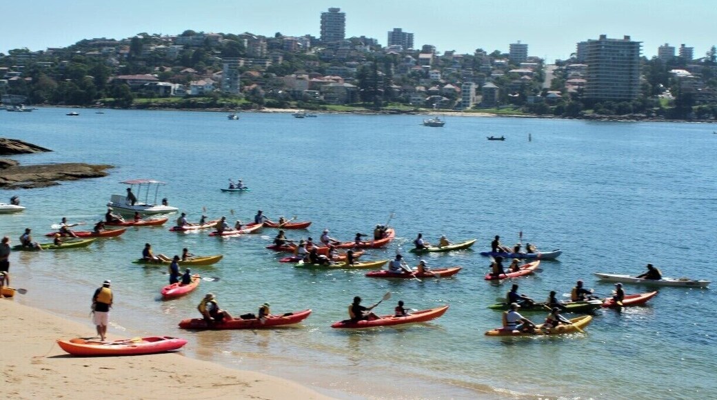 Manly to Spit bridge walk. You can take the ferry to Manly and the bus back from the brige. It's a fairly easy walk with nice scenery.