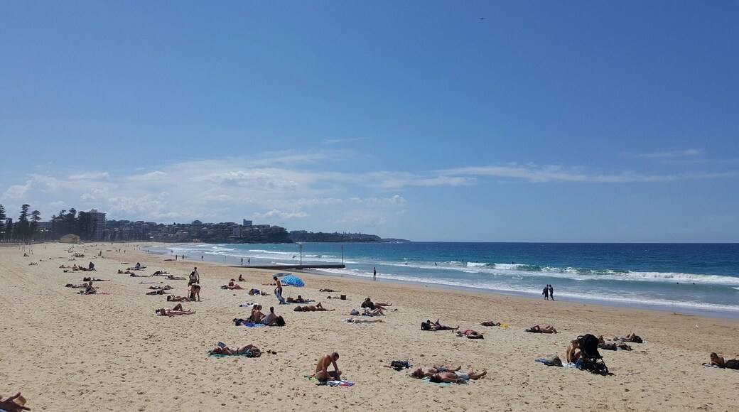 Manly beach, the ferry ride alone is worth coming here