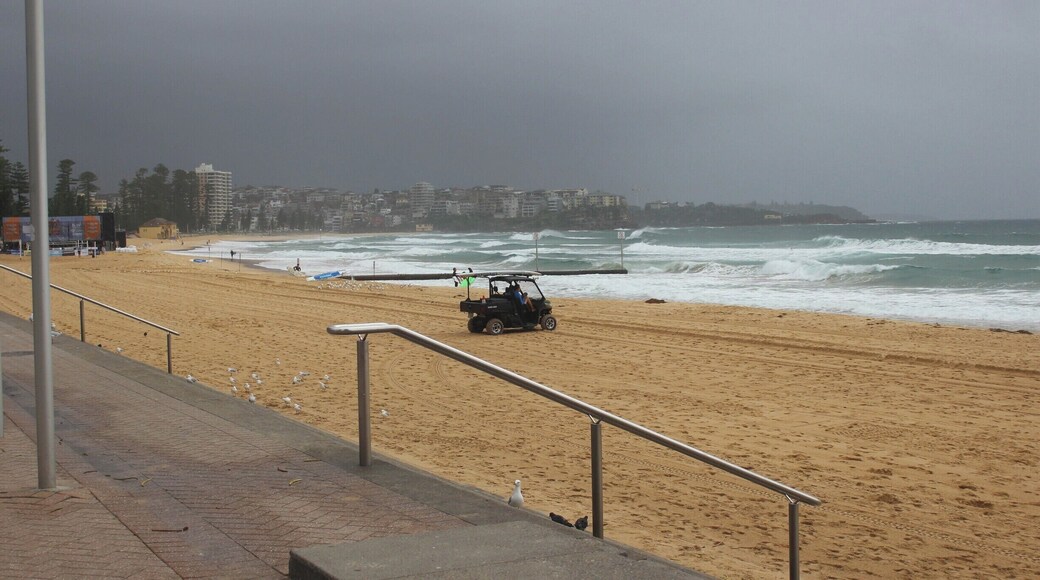 Still worth a visit in the rain!