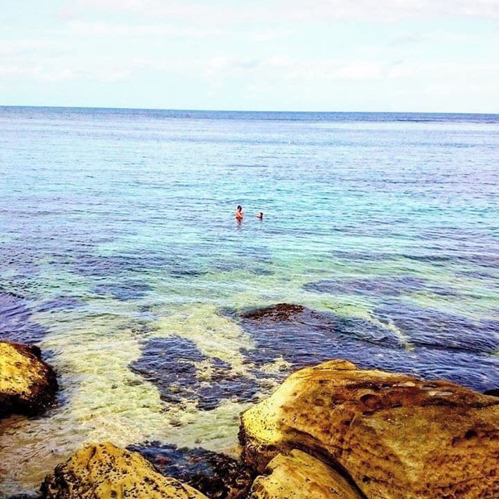 Um bom lugar para mergulho. 
#manly #sydney #australia #aussiesofinstagram #au #nsw #sea #sky #diving #ocean #scuba #ig_australia #visitnsw #nature #natureshots #amazing #summer #mytravelgram #wild #wildlife #instamoment #instagood #goodtimes #instamood #picoftheday #pic #bestoftheday #photo