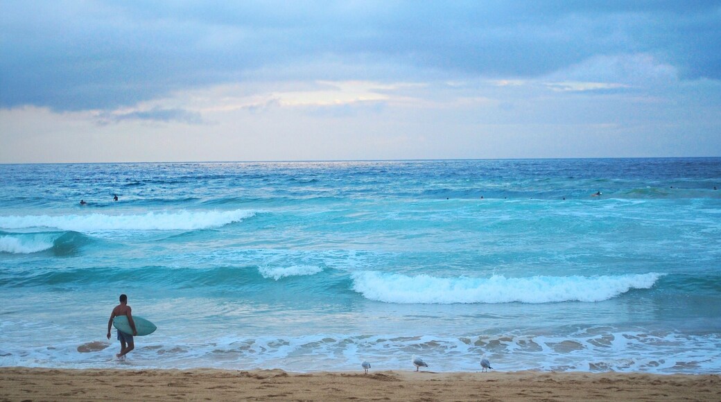Manly beach, ranked number 5 in TripAdvisor's top 10 Aussie beaches 👊