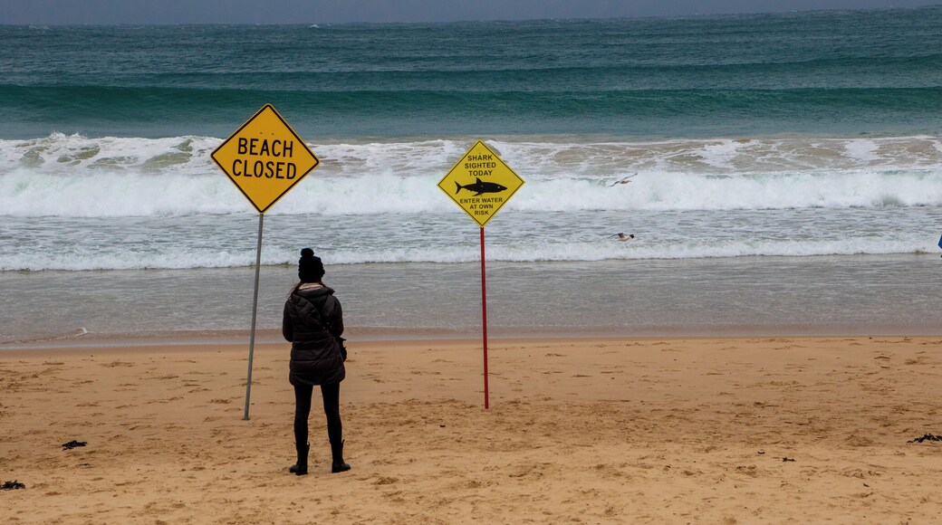 The Beach is closed today. Any takers ?