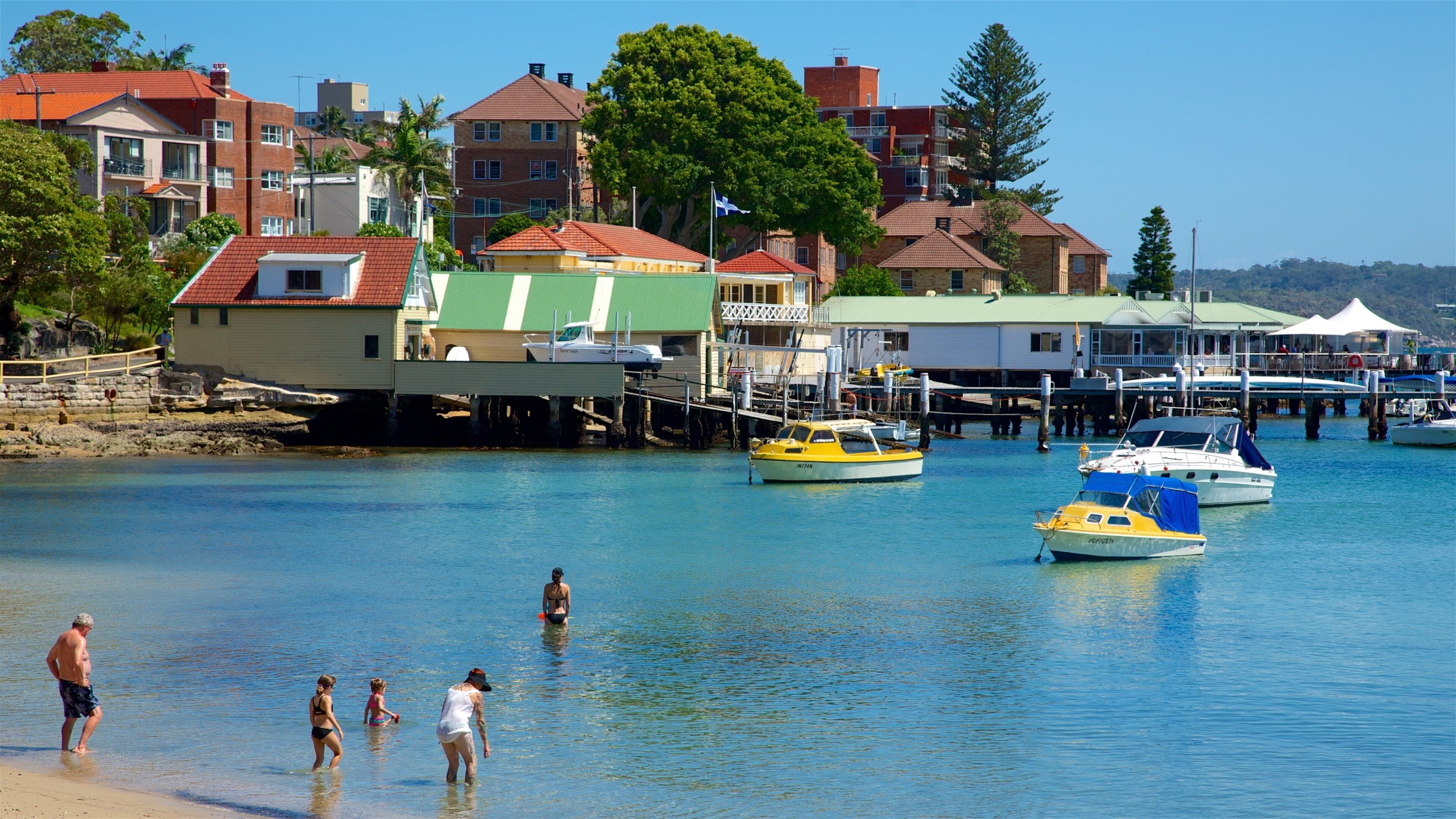 Manly showing swimming, a coastal town and a bay or harbor