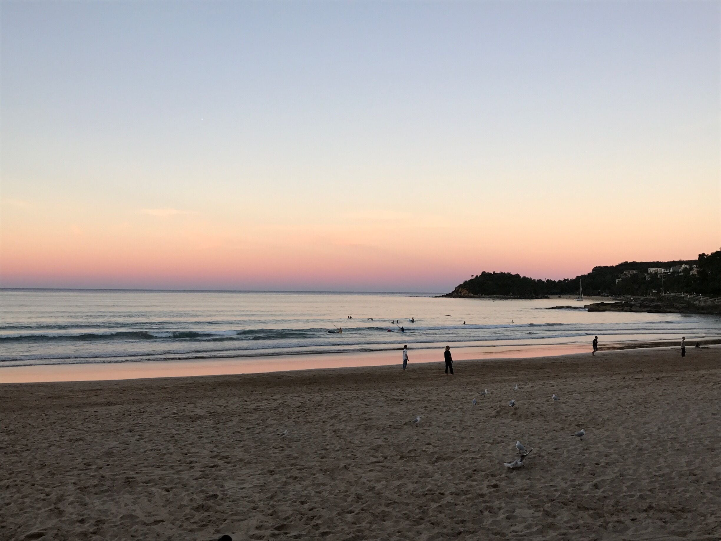Manly beach at sunset; Bondi is better known and quite scenic but I would say Manly holds it own in terms of both beauty and atmosphere.  

#sydney #manlybeach #lifeatexpedia