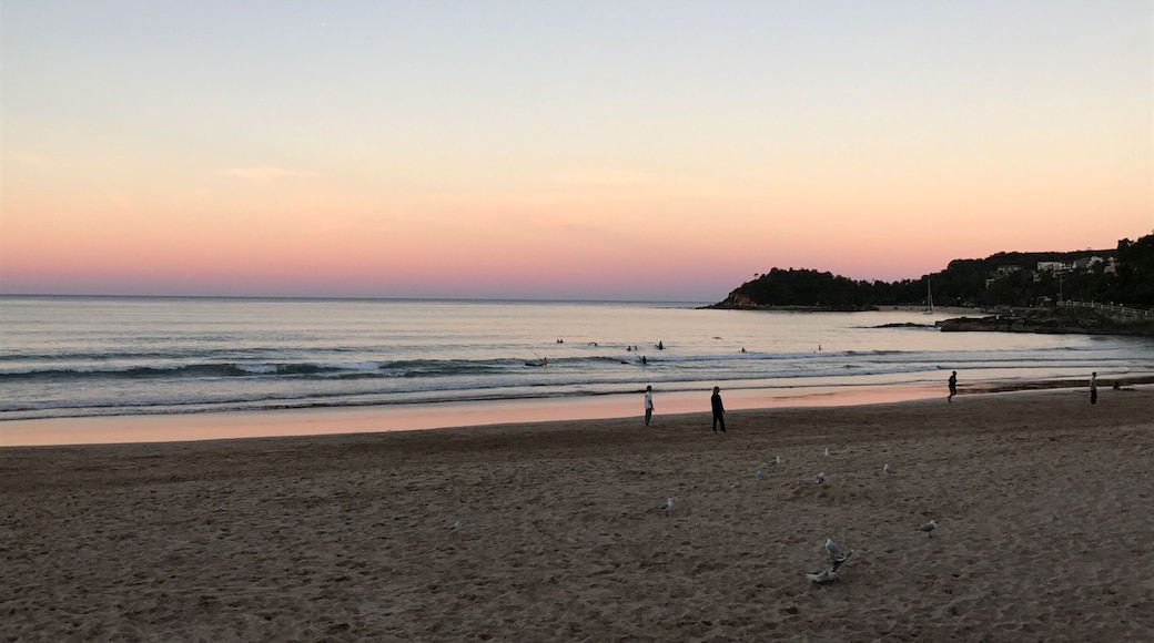 Manly beach at sunset; Bondi is better known and quite scenic but I would say Manly holds it own in terms of both beauty and atmosphere.
#sydney #manlybeach #lifeatexpedia