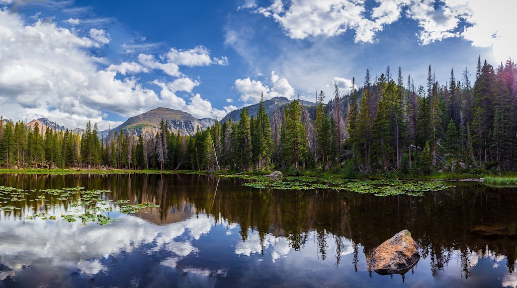 Nymph Lake with Lily Pads Sunset View, Rocky Mountain National Park, Colorado
