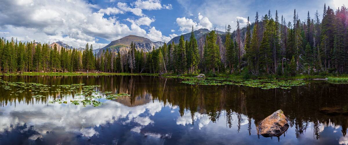 Nymph Lake with Lily Pads Sunset View, Rocky Mountain National Park, Colorado