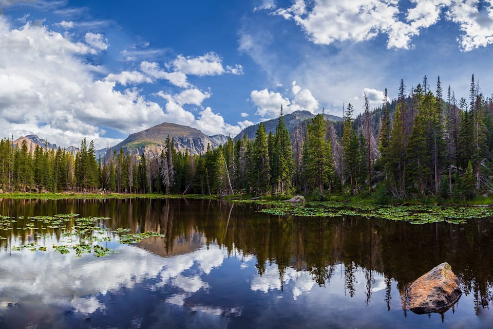 Una catena montuosa, un lago con ninfee e una foresta di alberi sempreverdi.