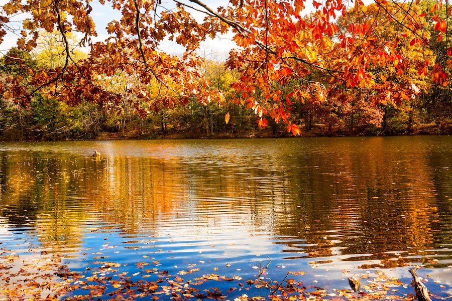 A calm lake surrounded by autumn trees with red and orange leaves.