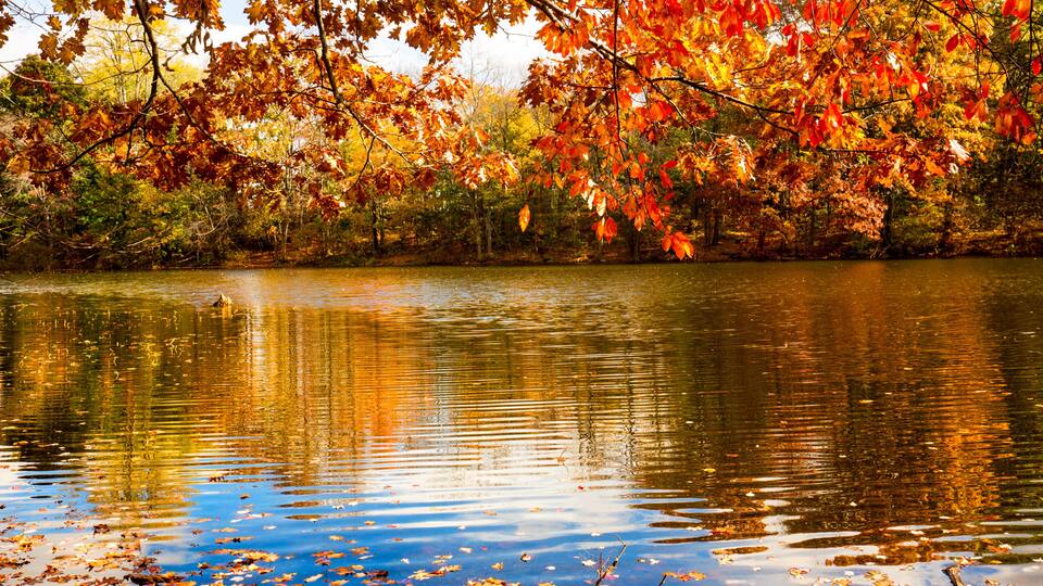 A calm lake surrounded by autumn trees with red and orange leaves.
