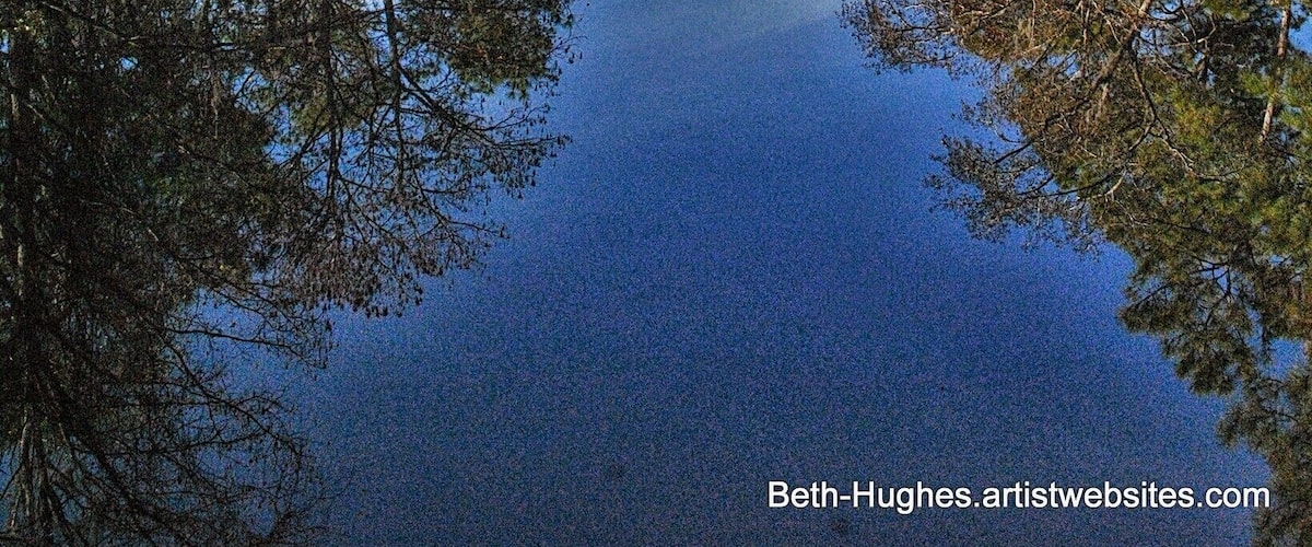 #localgem
Off Hickory Tree road between St Cloud and the town of Harmony, is a canal that connects Aligator Lake and Brick Lake.
At the bridge is where I like to launch my kayak.....
Brick Lake is my favorite of the two.  Quiet and serene. ...