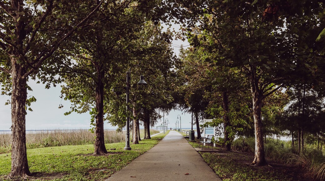 St. Cloud