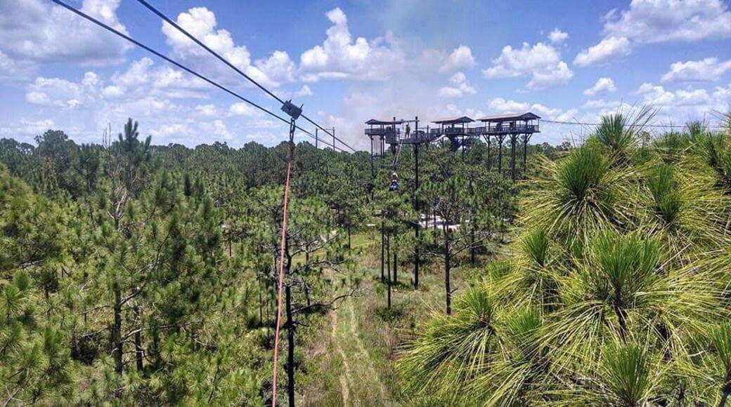 Amazing and fun zipline experience.