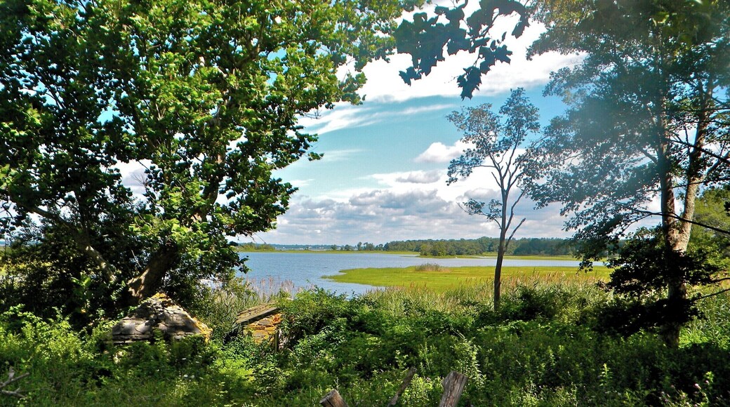 Looking out into Narragansett Bay