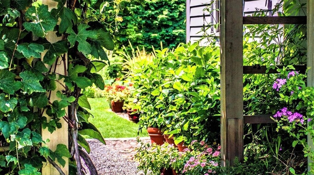 The Blithewold Mansion, gardens are some of the most beautiful incredibly nice place to relax and stroll through the 32 acres and explore!!