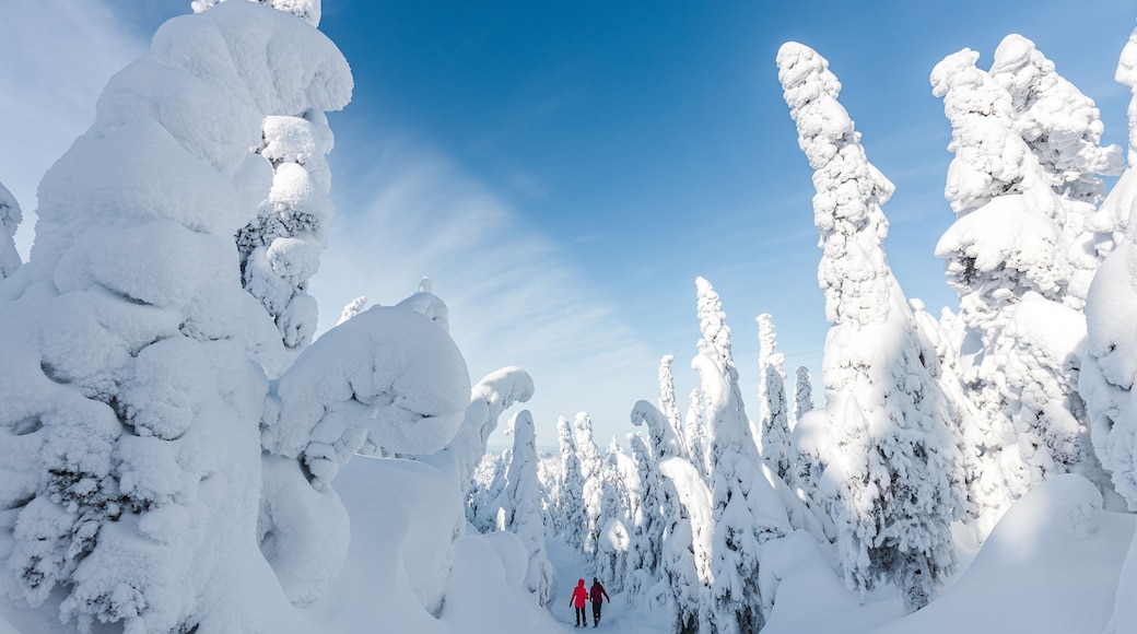 Couple dans une paysage d'hiver féérique au parc national des Monts-Valin. Vallée des Fantômes, Québec.