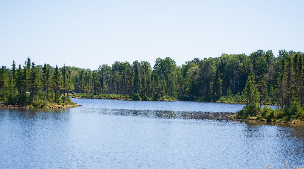 Park sauvage St Felicien Canada