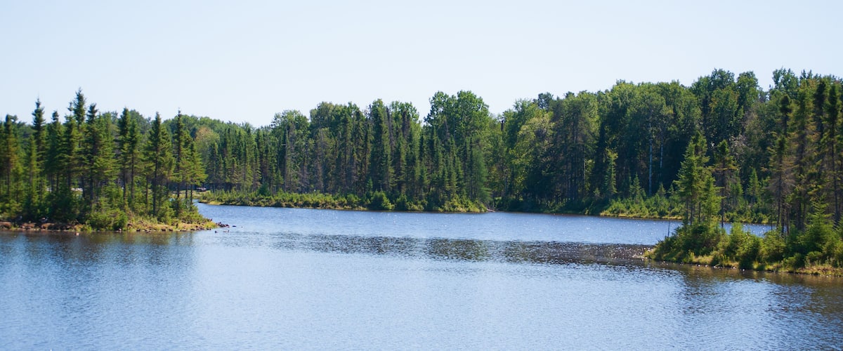 A calm lake surrounded by dense forests.