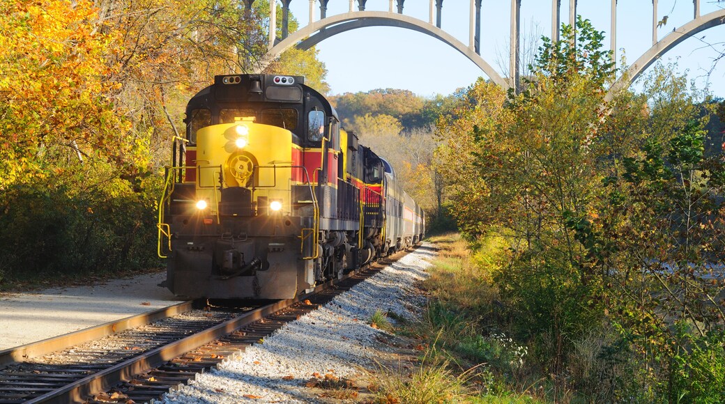 Train approaching below bridge over Ohio's Cuyahoga Valley