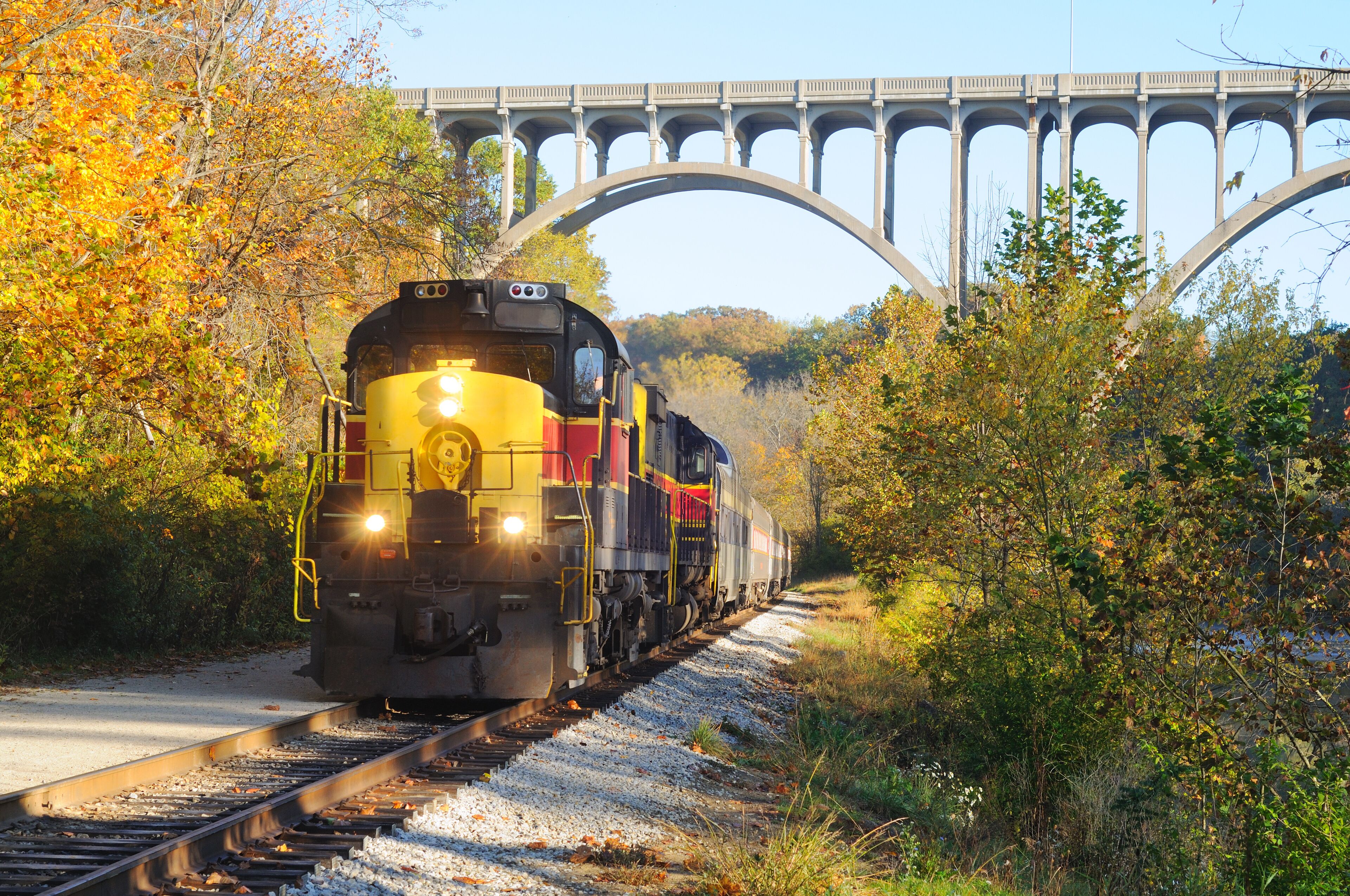 A yellow and red train traveling on tracks under a bridge surrounded by autumn foliage.