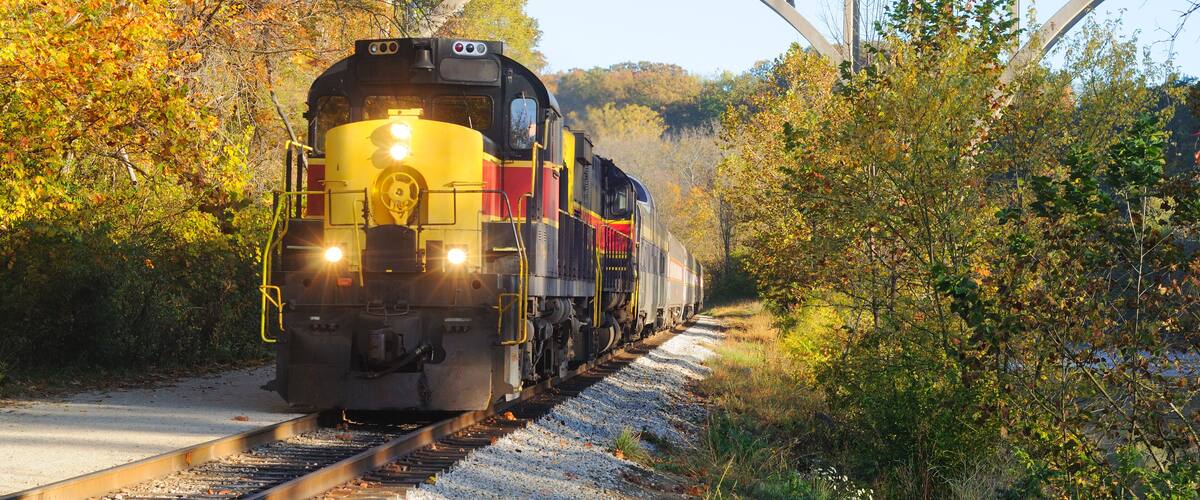 A yellow and red train traveling on tracks under a bridge surrounded by autumn foliage.