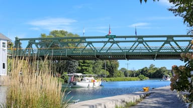 Uma ponte verde sobre um rio calmo, com barcos, calçada e vegetação.