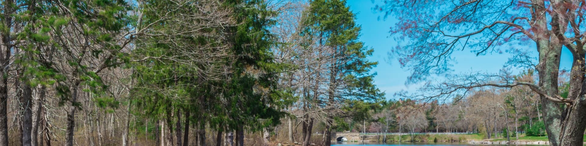 Beautiful nature view in D.W Field Park in Brockton, Massachusetts, on a sunny day