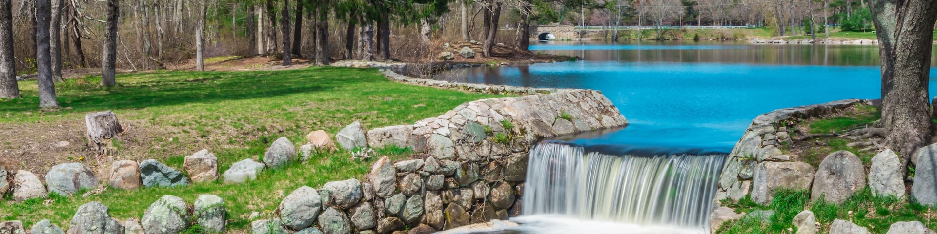 Un lago sereno con una pequeña cascada, rodeado de árboles y un muro de piedra.