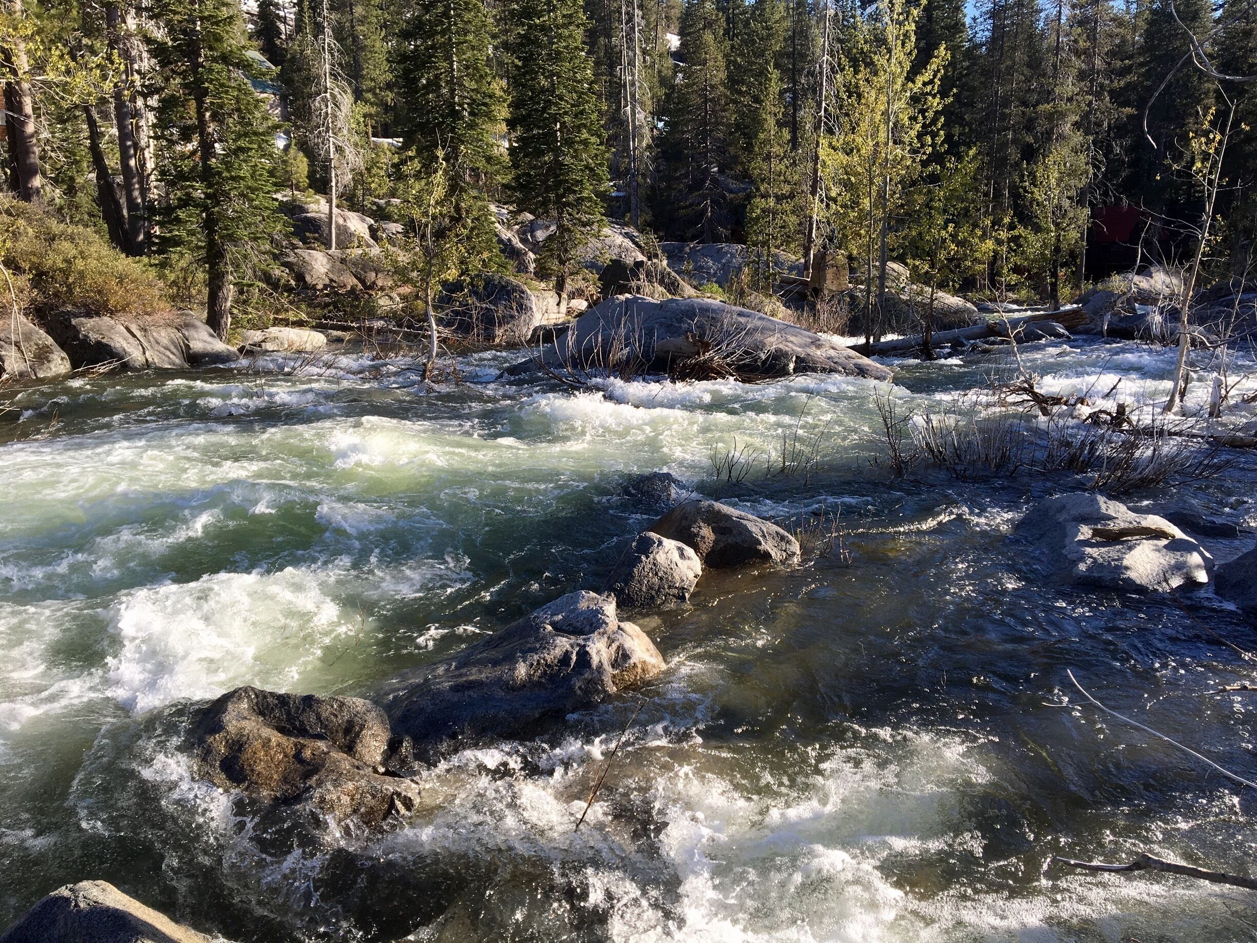 High up in the Sierras, the South Yuba River is raging with snow melt. This water runs all the way to the foothills through granite boulders and canyons. It is a sight to see it so full after many drought years. This section is close to the Hampshire Rocks Campground off of I-80. #Hiking #SpringFun #Camping #NationalForests