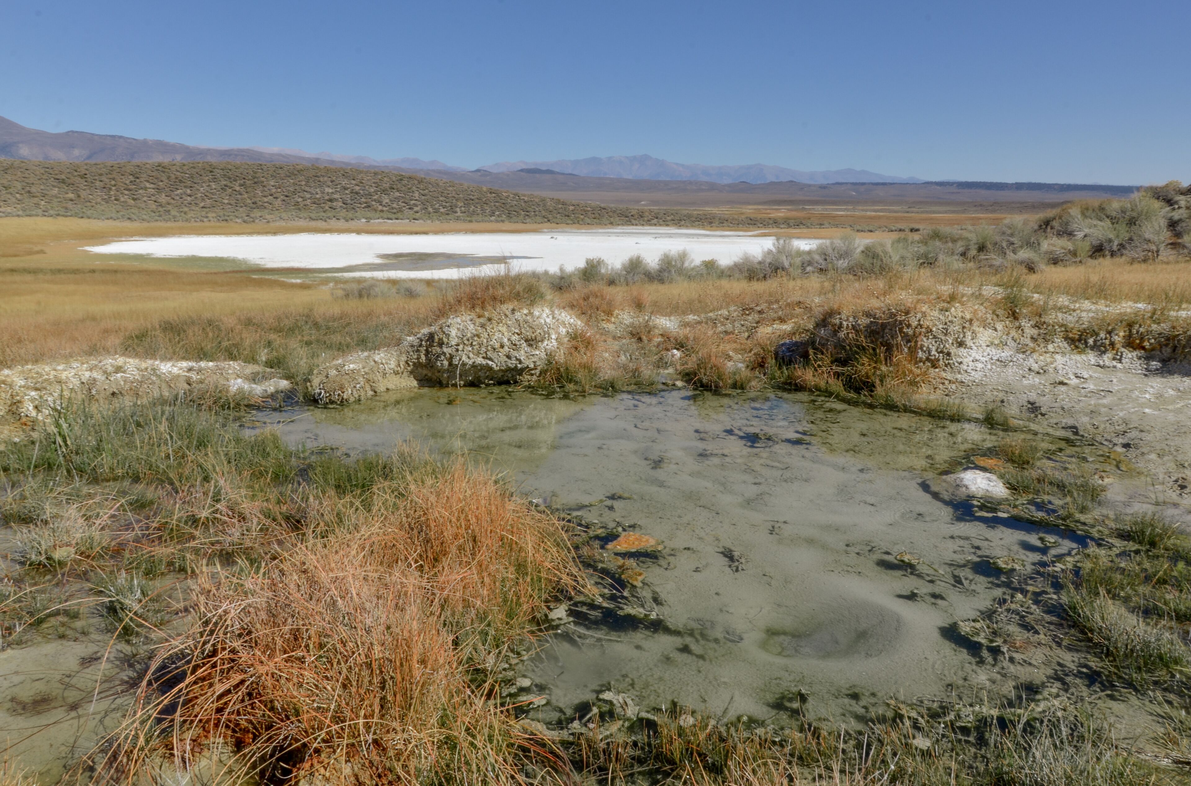 Shepherd Hot Springs and Little Alkali Lake Whitmore Hot Springs, Mono county, California