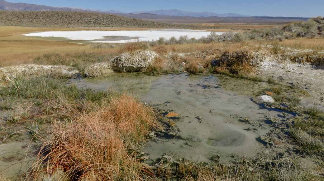 Shepherd Hot Springs and Little Alkali Lake Whitmore Hot Springs, Mono county, California
