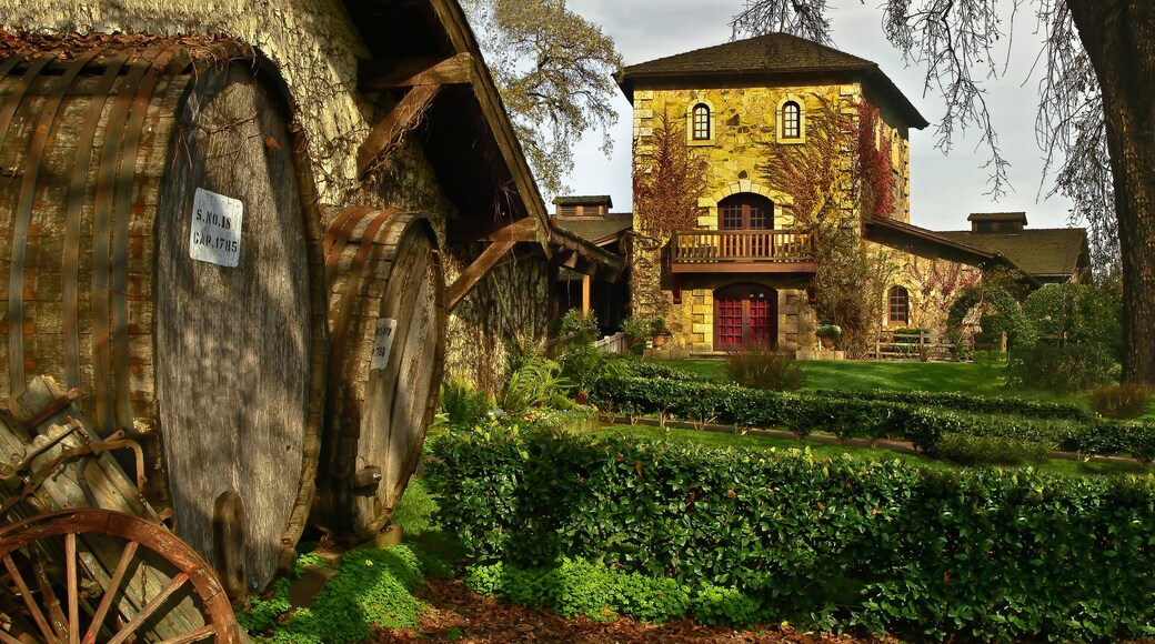 Original Oak Barrels at Winery in Napa Valley, St. Helena, California,USA