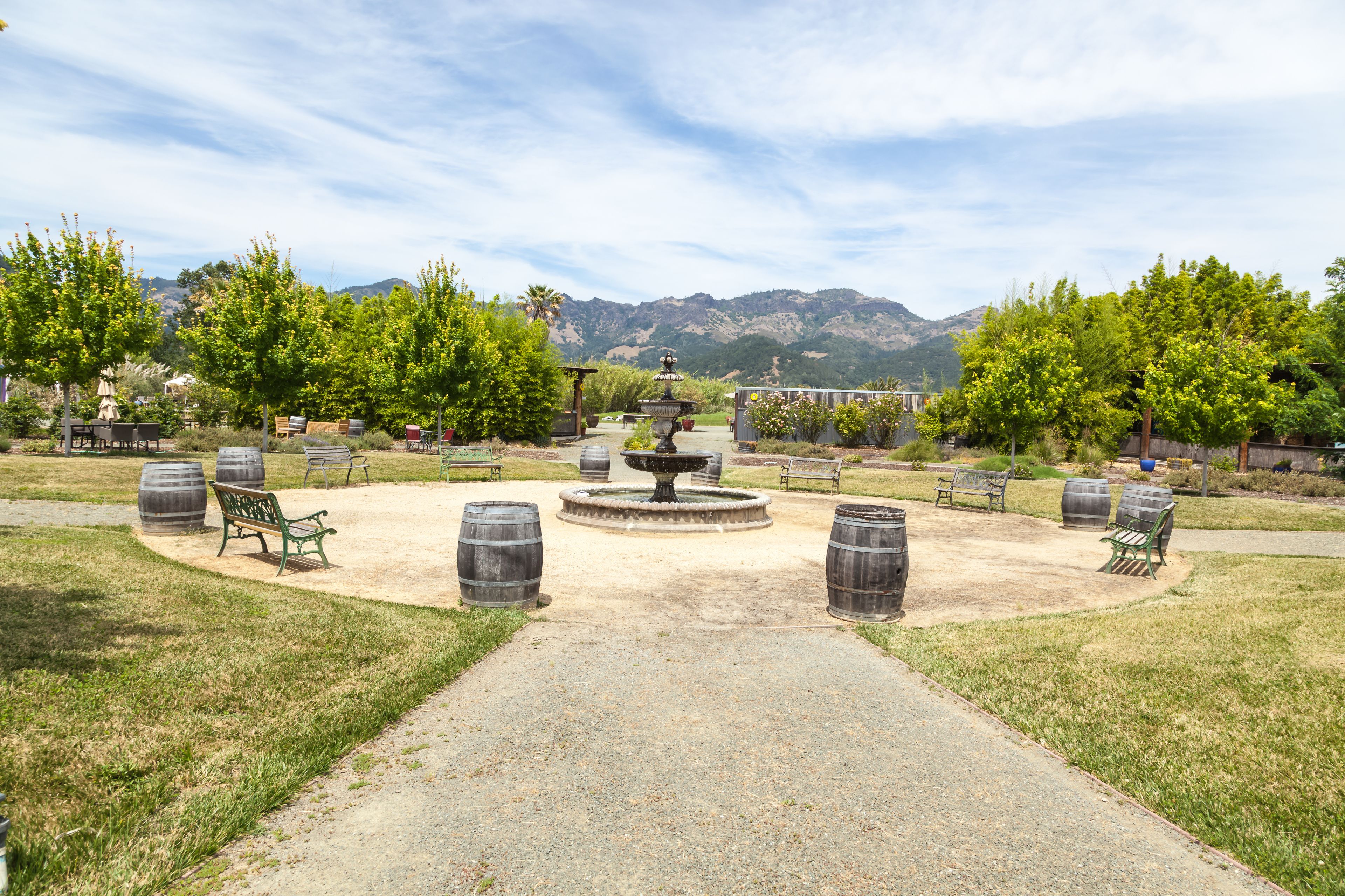 Old Faithful Geyser in Calistoga,Napa Valley, California