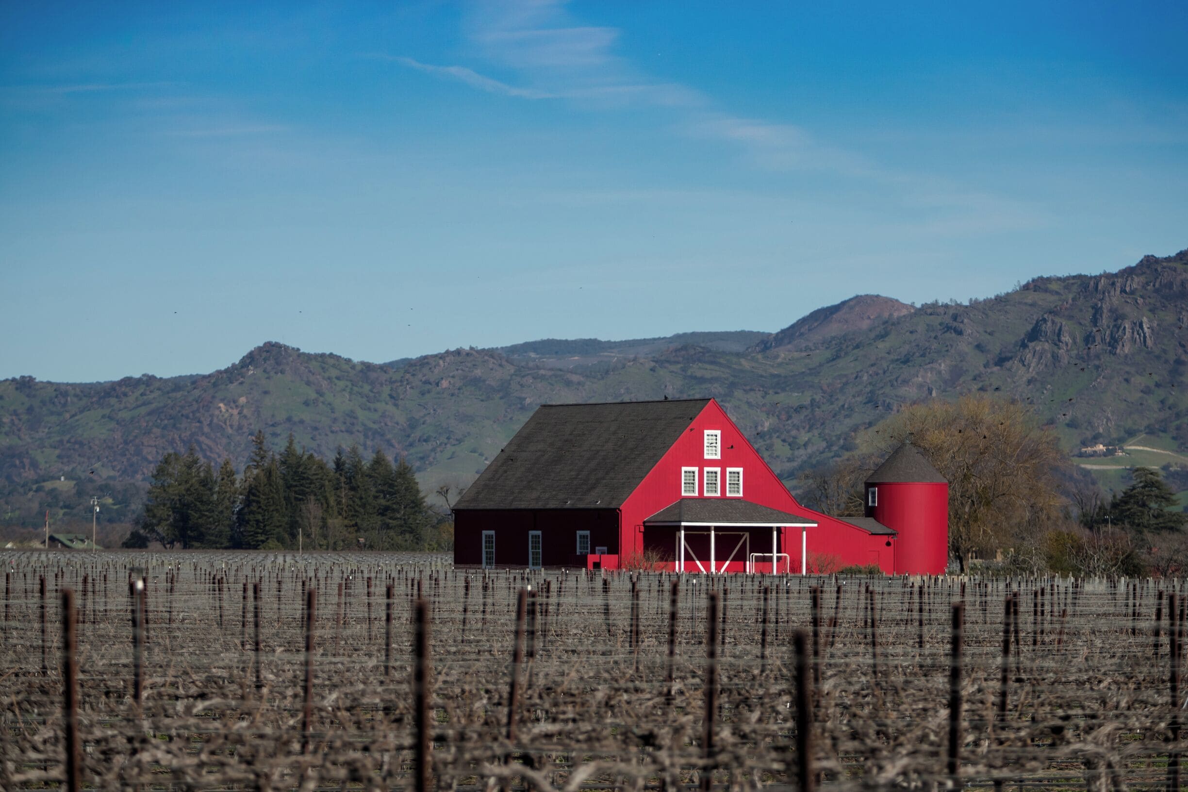 Oak Knoll Road, Napa, California.
#red #napavalley #vineyard #california #cali #usa #us #travelphotography #travel