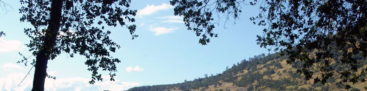 Parallel Lines #4
Parallel lines of grape vines stretching off into the distance.