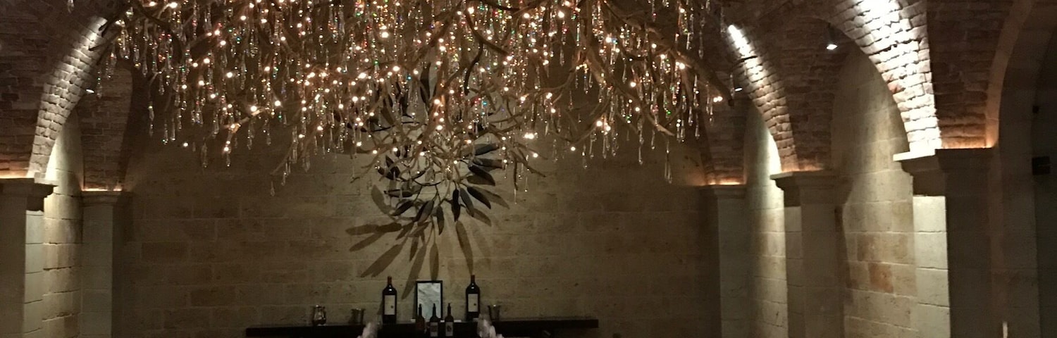We did a tasting at Hall wines in Napa and their dining room had the most beautiful chandelier.