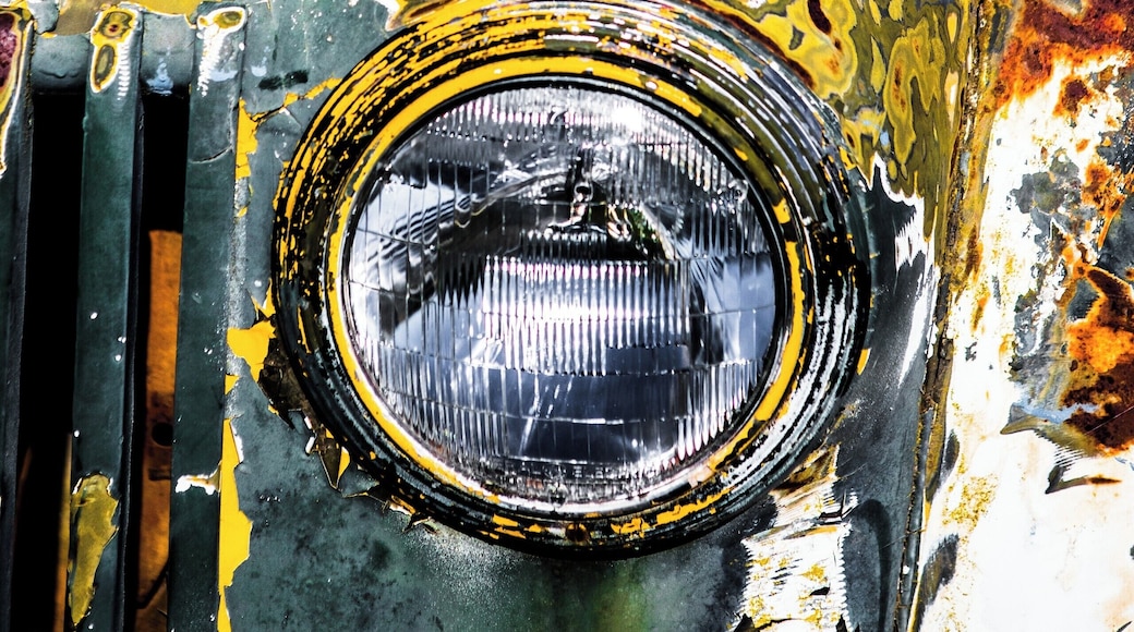 An abandoned 1946 Ford Truck. Napa Valley and much or rural California has loads of these amazing abondoned trucks which are just left to rust away. The rotting paintwork and rust make for some great pictures.
#details #california #usa #napa #napavalley #americana #america #truck #ford #rust #rusted