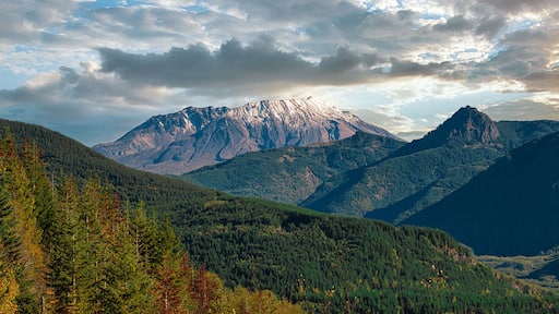 2023-10-18 MT ST HELENS FROM THE MT ST HELENS LEARNING CENTER WITH A BEAUTIFUL SKY AND TREES