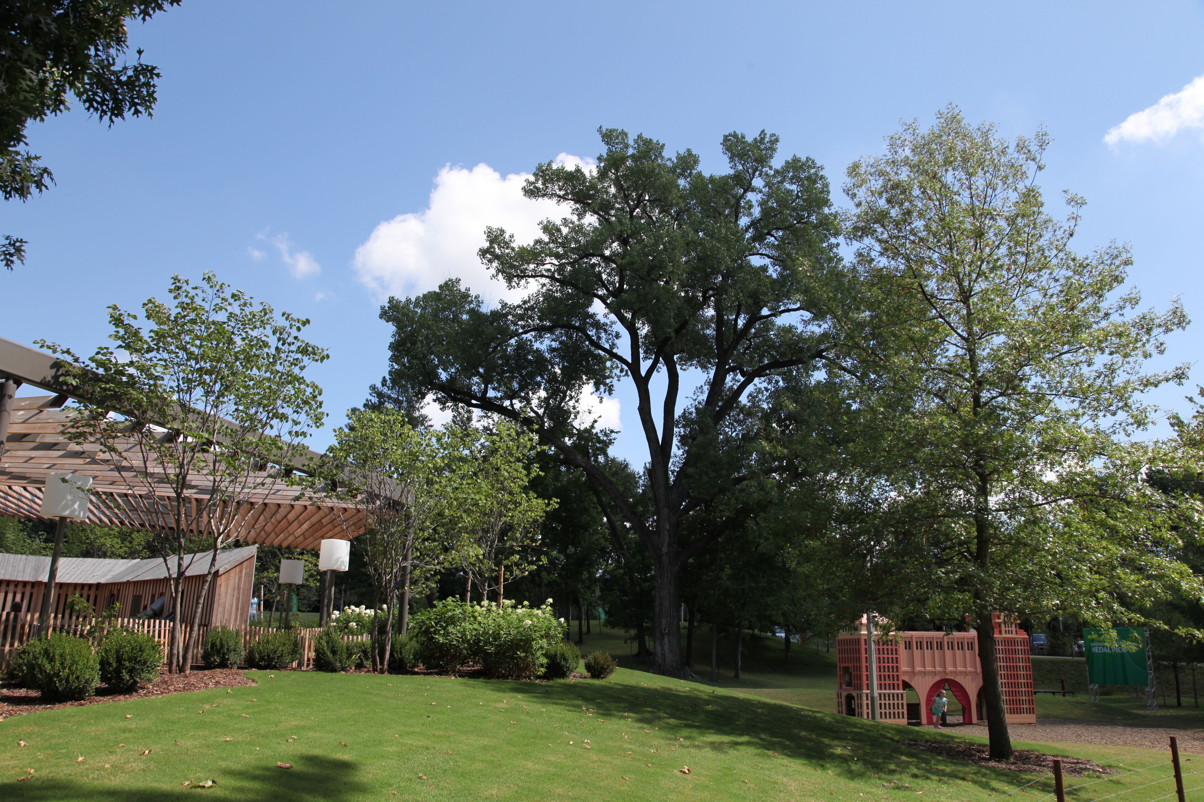 The Learning Tree at Tulsa's Gathering Place Park