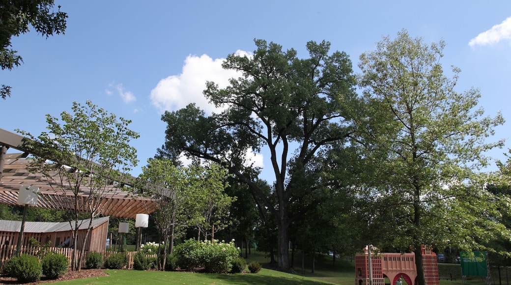 The Learning Tree at Tulsa's Gathering Place Park