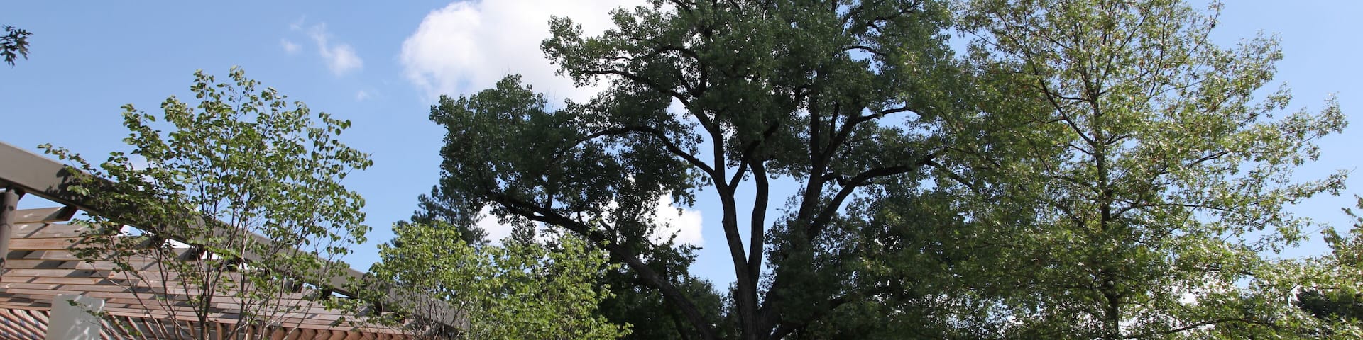 The Learning Tree at Tulsa's Gathering Place Park