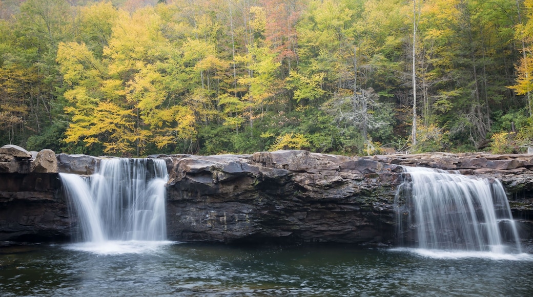 The High Falls on Shavers Fork of the Cheat River near Elkins, West Virginia