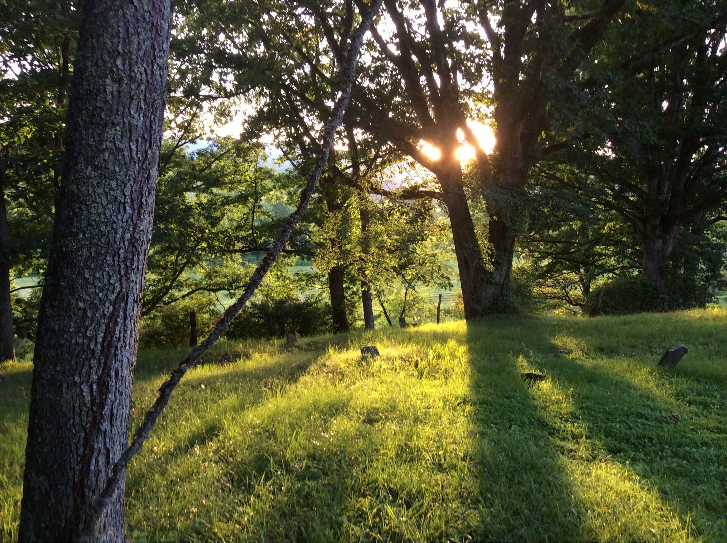 The Arnold Hill Cemetery near Pegasus Farms Campground in Elkins WV. A truly haunting place.  
