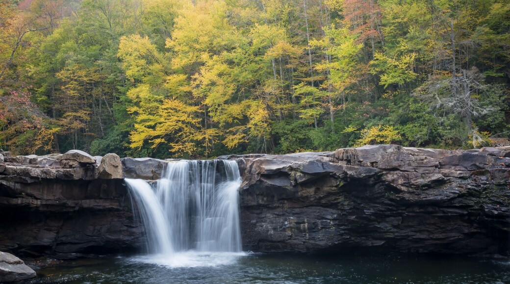 The High Falls on Shavers Fork of the Cheat River near Elkins, West Virginia