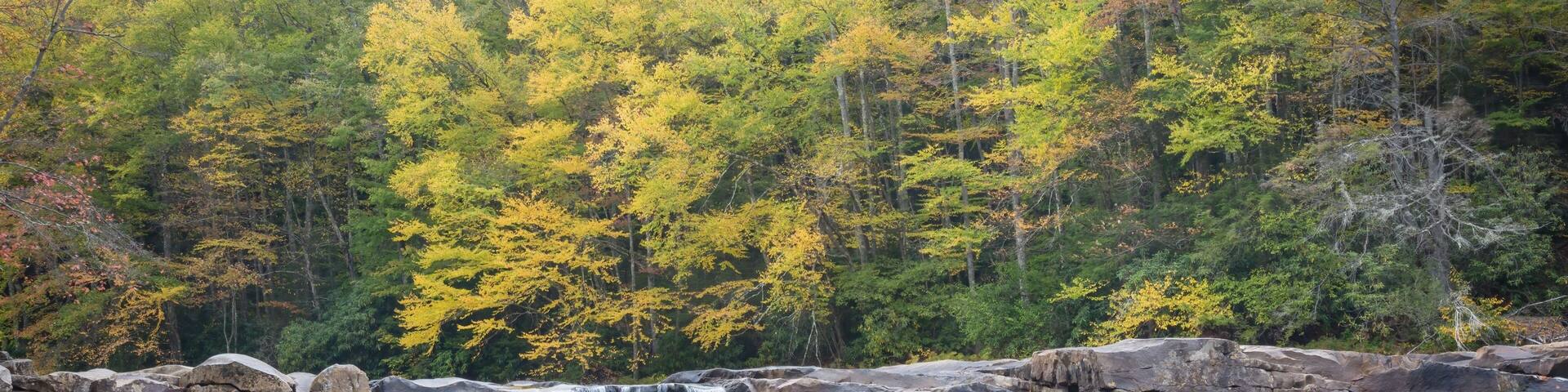 The High Falls on Shavers Fork of the Cheat River near Elkins, West Virginia